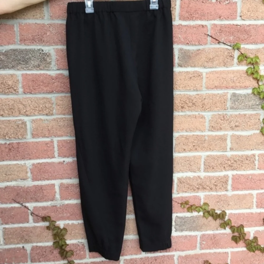 Aritzia Black Cropped Ankle Pants - Picture 8 of 12